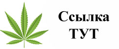 Купить наркотики в Муравленко